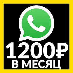 InCRM: WhatsApp